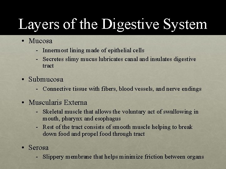 Layers of the Digestive System • Mucosa - Innermost lining made of epithelial cells