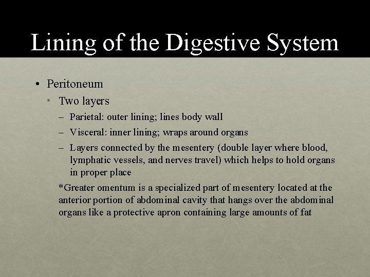Lining of the Digestive System • Peritoneum • Two layers – Parietal: outer lining;