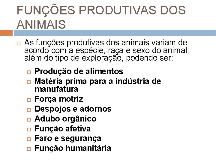FUNÇÕES PRODUTIVAS DOS ANIMAIS As funções produtivas dos animais variam de acordo com a