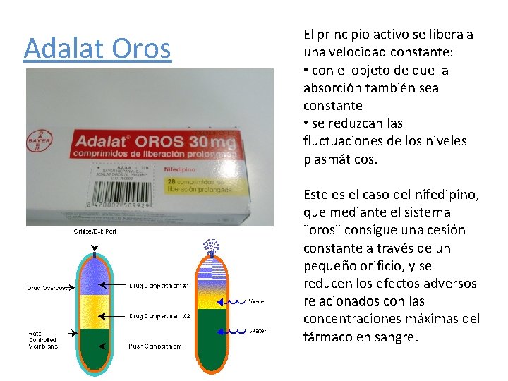 Adalat Oros El principio activo se libera a una velocidad constante: • con el