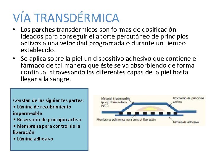 VÍA TRANSDÉRMICA • Los parches transdérmicos son formas de dosificación ideados para conseguir el