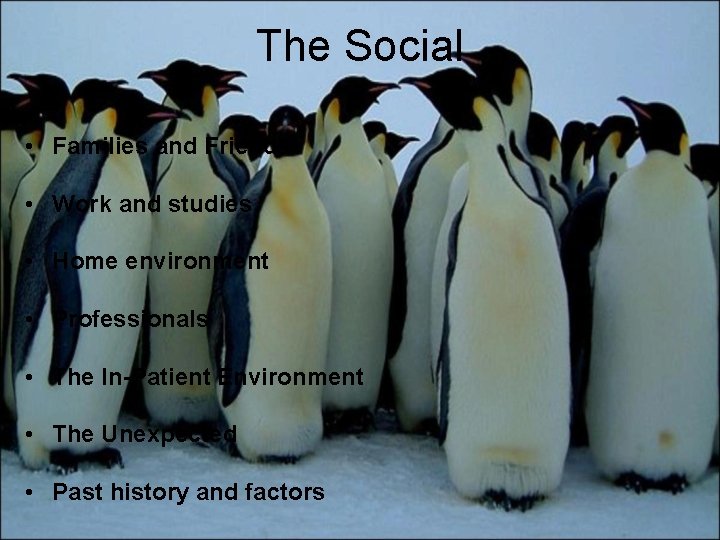 The Social • Families and Friends • Work and studies • Home environment •