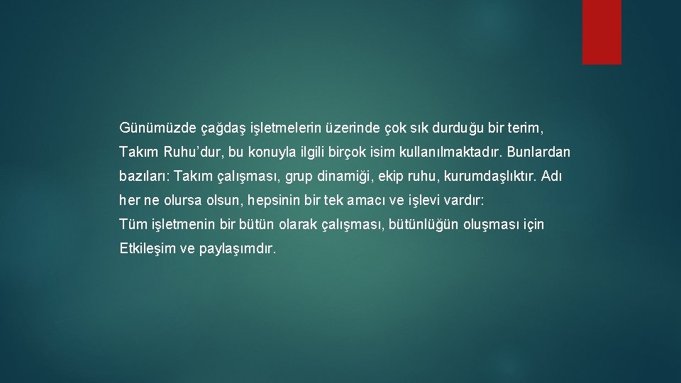  Günümüzde çağdaş işletmelerin üzerinde çok sık durduğu bir terim, Takım Ruhu’dur, bu konuyla