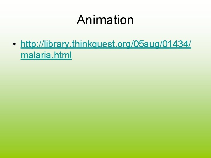 Animation • http: //library. thinkquest. org/05 aug/01434/ malaria. html 