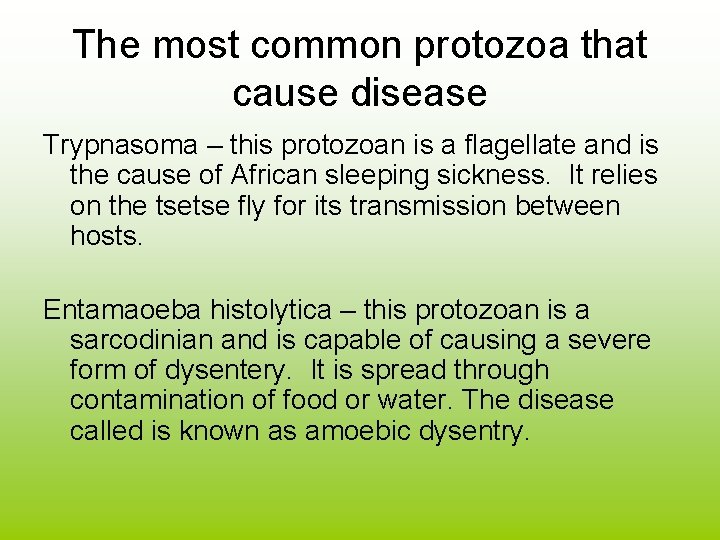 The most common protozoa that cause disease Trypnasoma – this protozoan is a flagellate