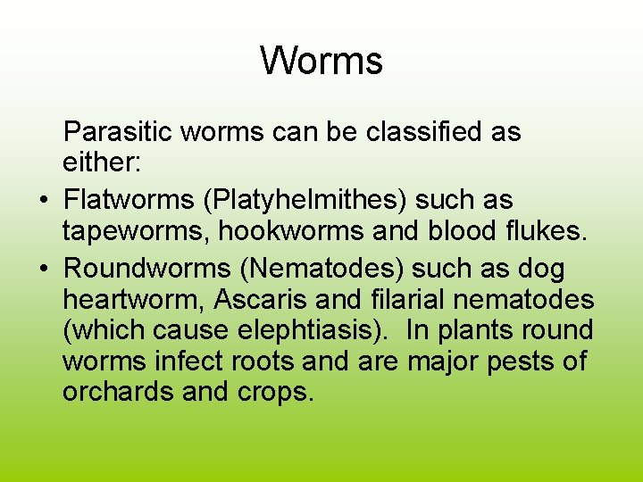 Worms Parasitic worms can be classified as either: • Flatworms (Platyhelmithes) such as tapeworms,