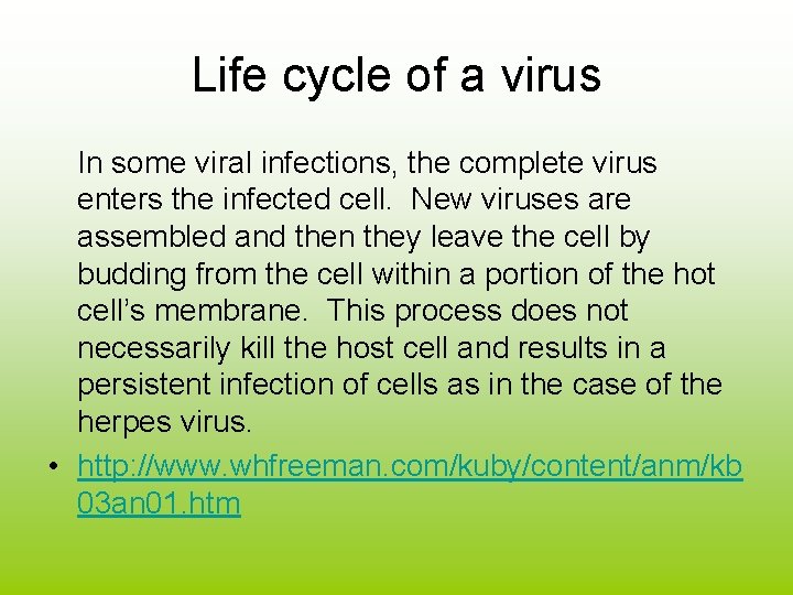 Life cycle of a virus In some viral infections, the complete virus enters the