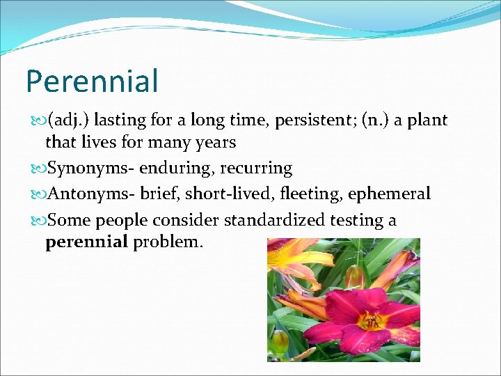 Perennial (adj. ) lasting for a long time, persistent; (n. ) a plant that