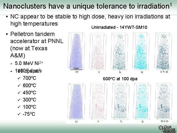 Nanoclusters have a unique tolerance to irradiation 1 • NC appear to be stable