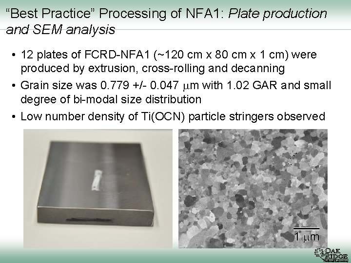 “Best Practice” Processing of NFA 1: Plate production and SEM analysis • 12 plates