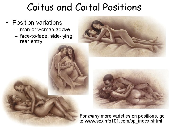 Coitus and Coital Positions • Position variations – man or woman above – face-to-face,