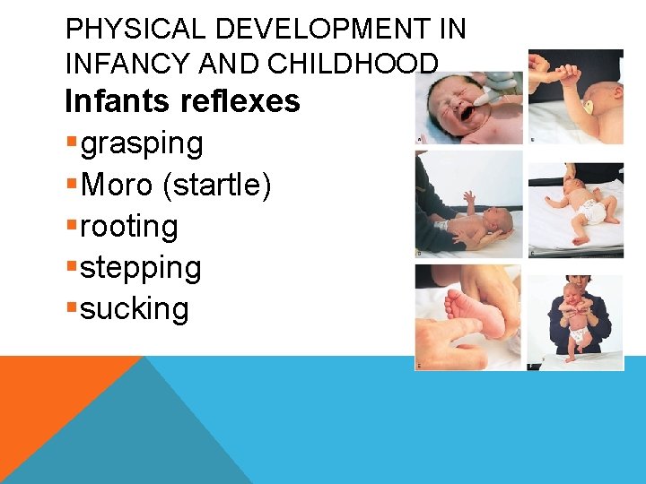 PHYSICAL DEVELOPMENT IN INFANCY AND CHILDHOOD Infants reflexes §grasping §Moro (startle) §rooting §stepping §sucking