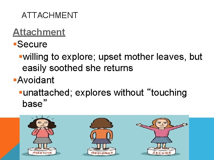 ATTACHMENT Attachment §Secure §willing to explore; upset mother leaves, but easily soothed she returns