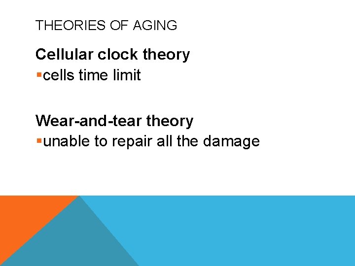 THEORIES OF AGING Cellular clock theory §cells time limit Wear-and-tear theory §unable to repair