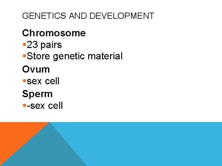 GENETICS AND DEVELOPMENT Chromosome § 23 pairs §Store genetic material Ovum §sex cell Sperm