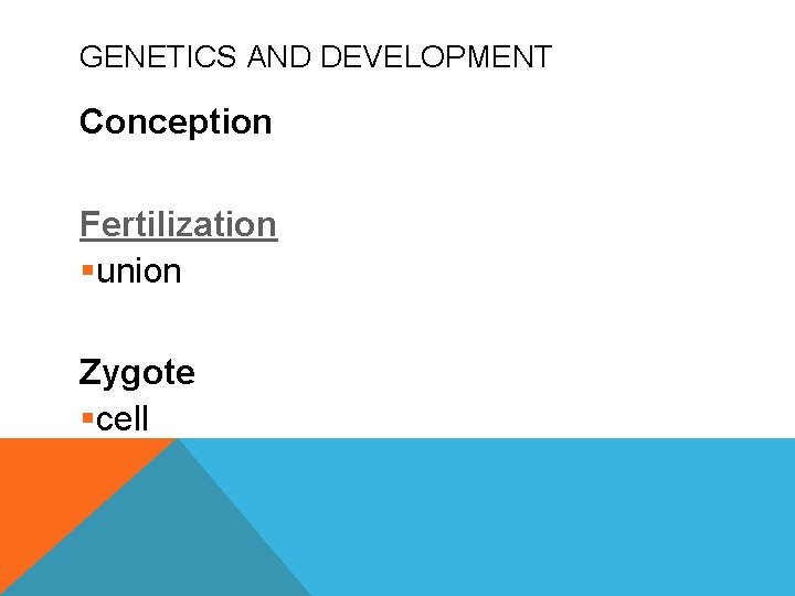 GENETICS AND DEVELOPMENT Conception Fertilization §union Zygote §cell 