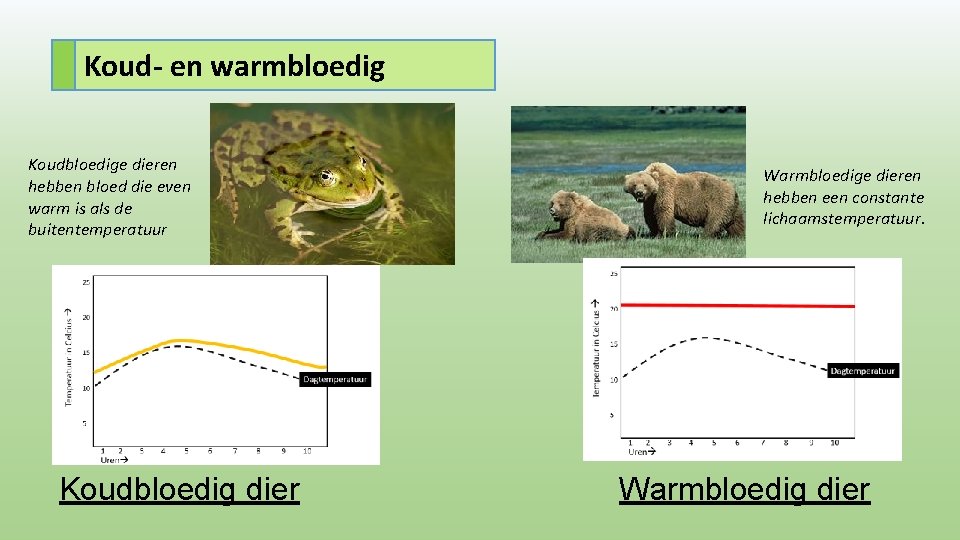 Koud- en warmbloedig Koudbloedige dieren hebben bloed die even warm is als de buitentemperatuur
