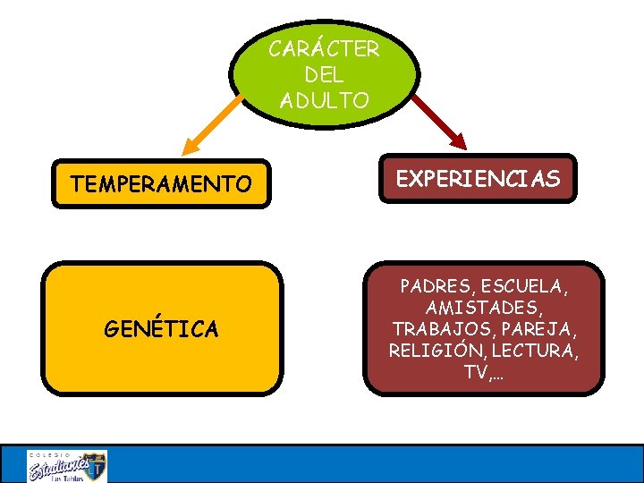 CARÁCTER DEL ADULTO TEMPERAMENTO GENÉTICA EXPERIENCIAS PADRES, ESCUELA, AMISTADES, TRABAJOS, PAREJA, RELIGIÓN, LECTURA, TV,