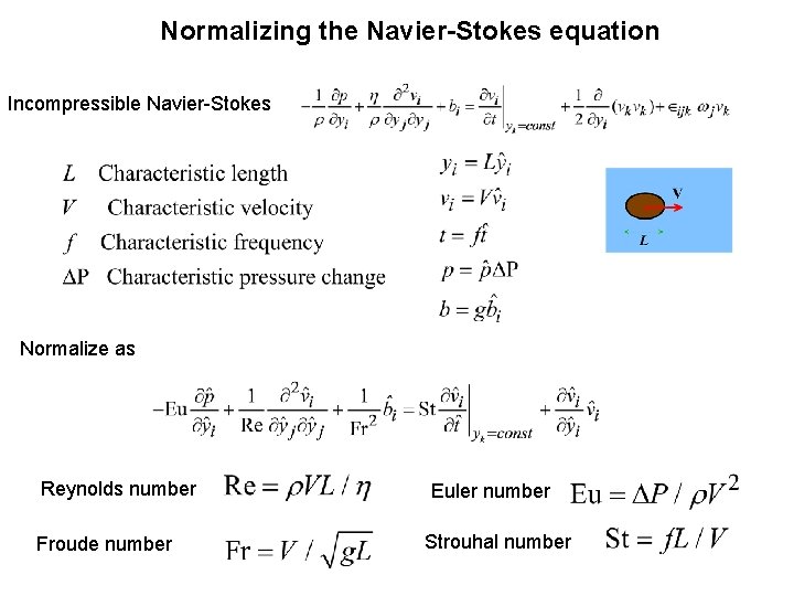 Normalizing the Navier-Stokes equation Incompressible Navier-Stokes Normalize as Reynolds number Froude number Euler number