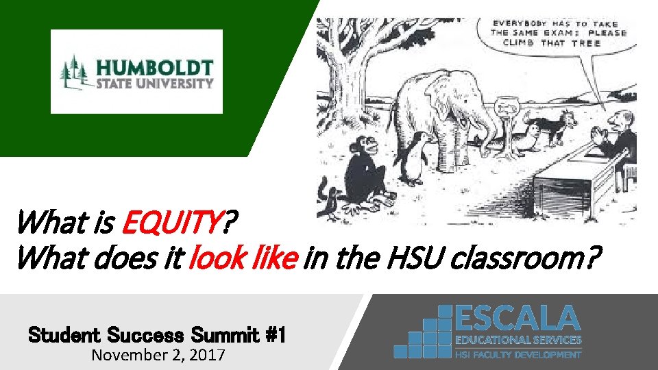 What is EQUITY? What does it look like in the HSU classroom? Student Success