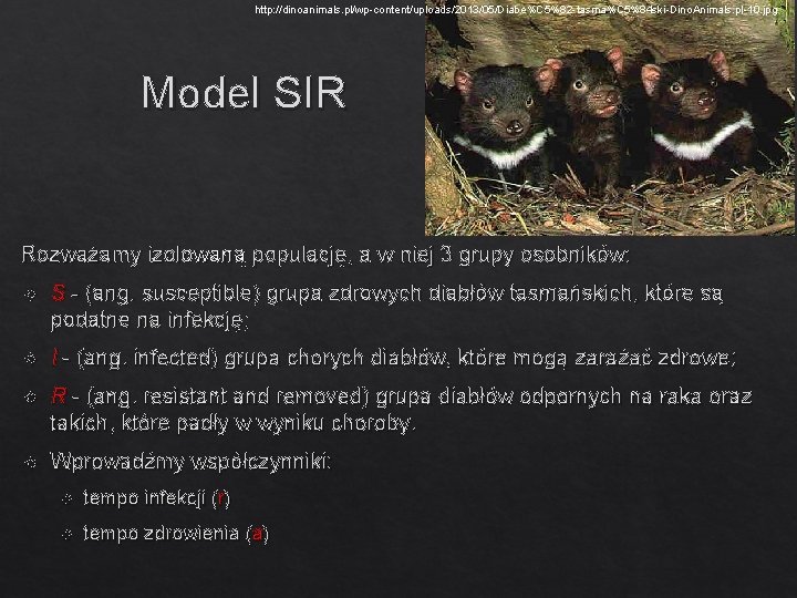http: //dinoanimals. pl/wp-content/uploads/2013/05/Diabe%C 5%82 -tasma%C 5%84 ski-Dino. Animals. pl-10. jpg Model SIR Rozważamy izolowaną