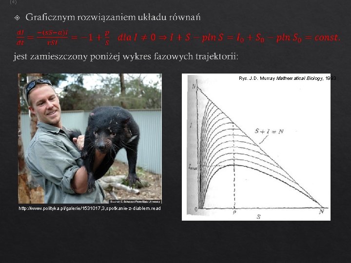  (4) Rys. J. D. Murray Mathematical Biology, 1993 http: //www. polityka. pl/galerie/1531017, 3,