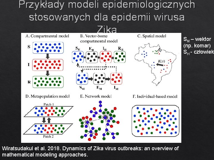 Przykłady modeli epidemiologicznych stosowanych dla epidemii wirusa Zika SM – wektor (np. komar) SH