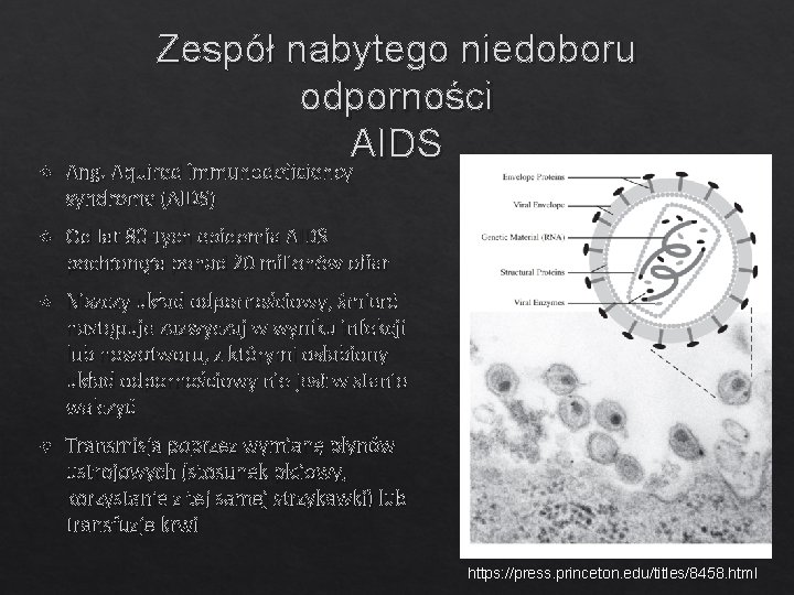  Zespół nabytego niedoboru odporności AIDS Ang. Aquired immunodeficiency syndrome (AIDS) Od lat 80