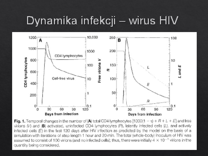 Dynamika infekcji – wirus HIV 