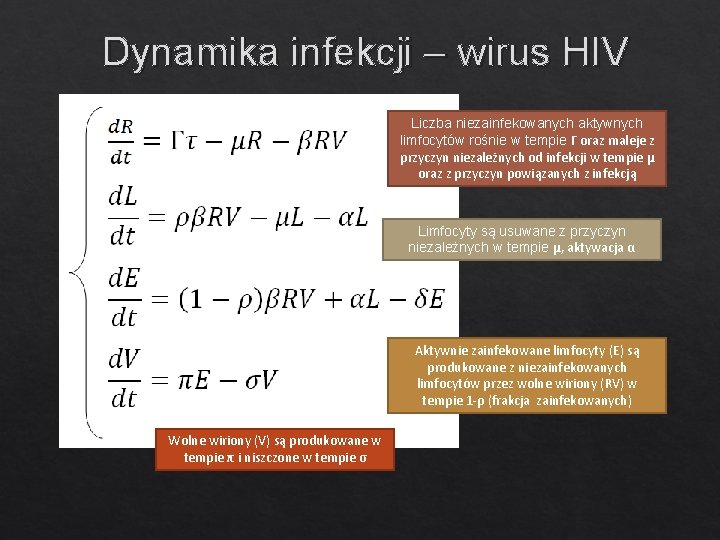 Dynamika infekcji – wirus HIV Liczba niezainfekowanych aktywnych limfocytów rośnie w tempie Γ oraz