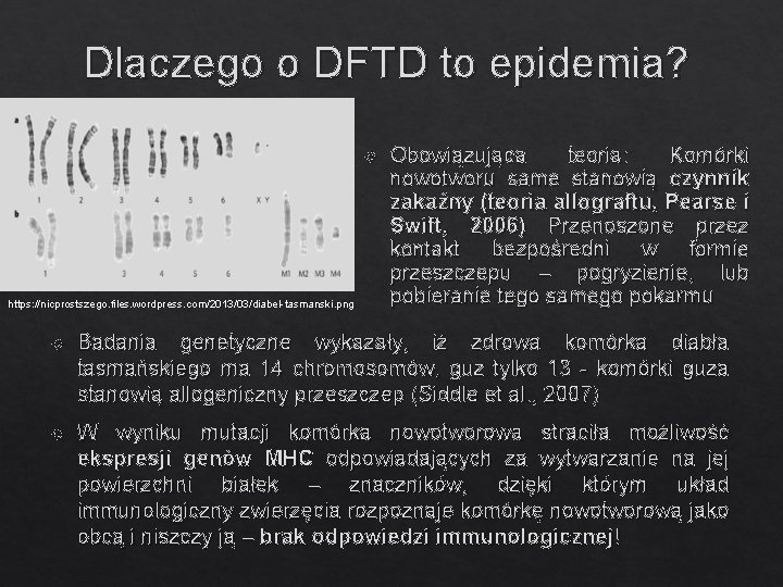 Dlaczego o DFTD to epidemia? https: //nicprostszego. files. wordpress. com/2013/03/diabel-tasmanski. png Obowiązująca teoria: Komórki