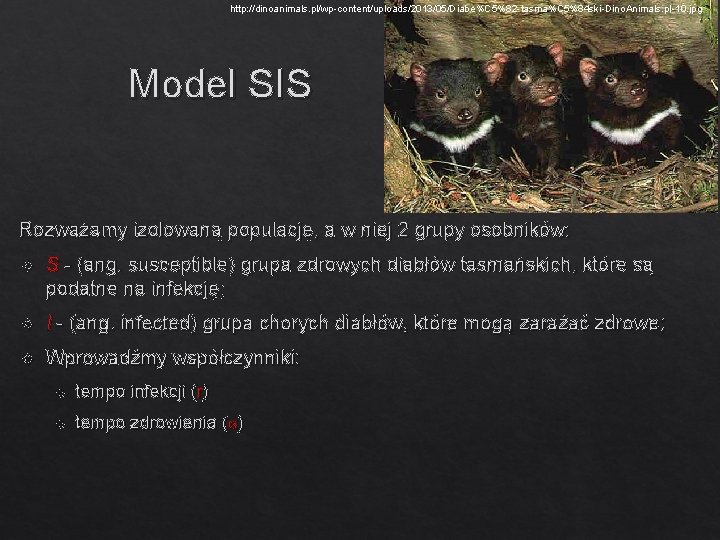 http: //dinoanimals. pl/wp-content/uploads/2013/05/Diabe%C 5%82 -tasma%C 5%84 ski-Dino. Animals. pl-10. jpg Model SIS Rozważamy izolowaną