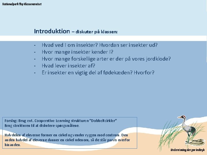 Introduktion – diskuter på klassen: - Hvad ved I om insekter? Hvordan ser insekter