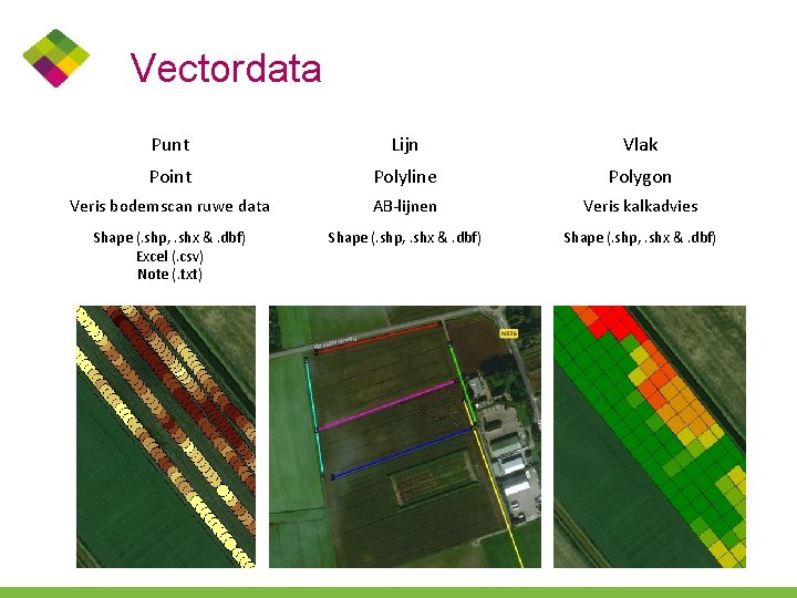 Vectordata Punt Lijn Vlak Point Polyline Polygon Veris bodemscan ruwe data AB-lijnen Veris kalkadvies
