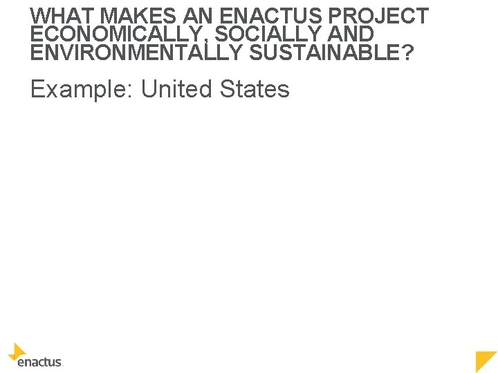 WHAT MAKES AN ENACTUS PROJECT ECONOMICALLY, SOCIALLY AND ENVIRONMENTALLY SUSTAINABLE? Example: United States 
