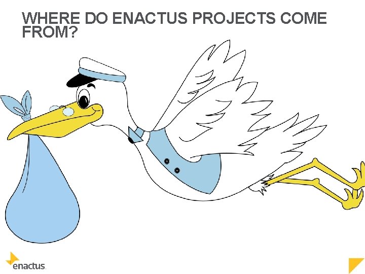 WHERE DO ENACTUS PROJECTS COME FROM? 