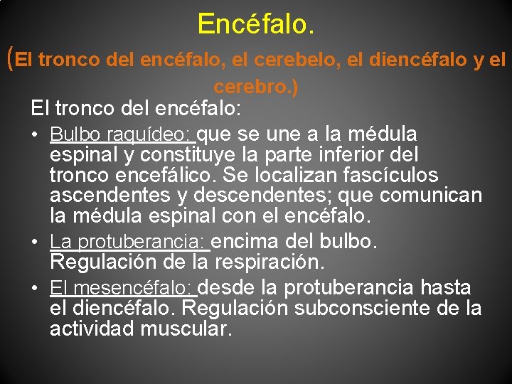 Encéfalo. (El tronco del encéfalo, el cerebelo, el diencéfalo y el cerebro. ) El