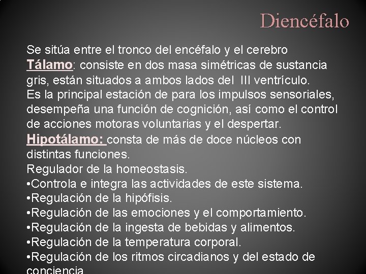 Diencéfalo Se sitúa entre el tronco del encéfalo y el cerebro Tálamo: consiste en