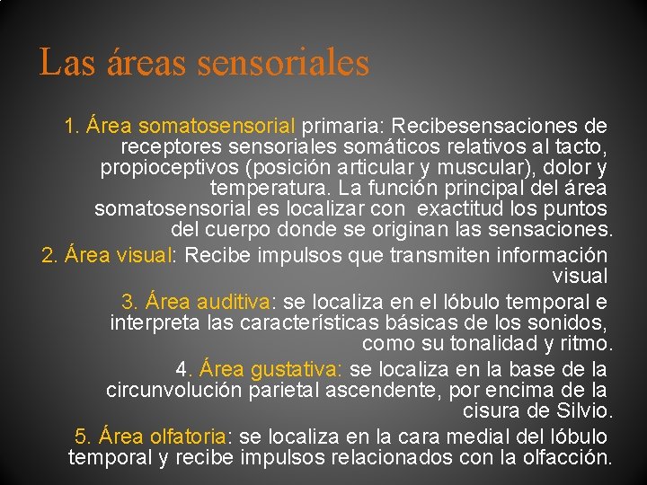 Las áreas sensoriales 1. Área somatosensorial primaria: Recibesensaciones de receptores sensoriales somáticos relativos al