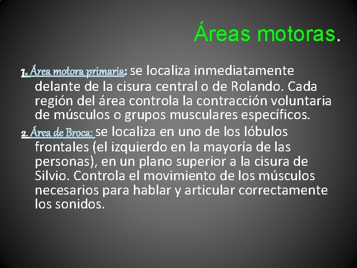 Áreas motoras. 1. Área motora primaria: se localiza inmediatamente delante de la cisura central