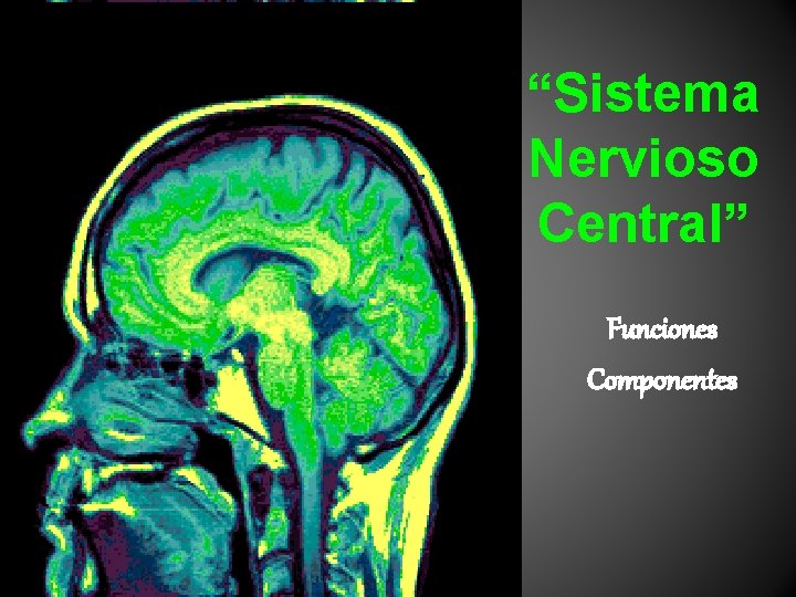 “Sistema Nervioso Central” Funciones Componentes 