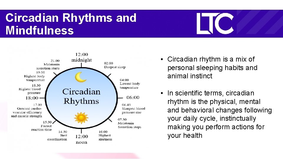 Circadian Rhythms and Mindfulness • Circadian rhythm is a mix of personal sleeping habits