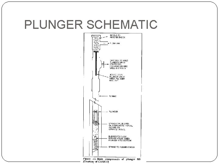 PLUNGER SCHEMATIC 