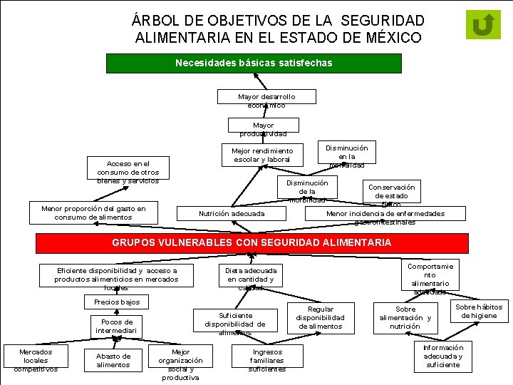 ÁRBOL DE OBJETIVOS DE LA SEGURIDAD ALIMENTARIA EN EL ESTADO DE MÉXICO Necesidades básicas