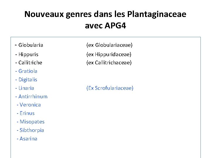 Nouveaux genres dans les Plantaginaceae avec APG 4 - Globularia (ex Globulariaceae) - Hippuris