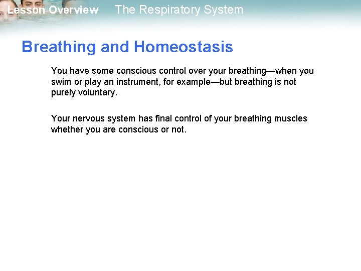 Lesson Overview The Respiratory System Breathing and Homeostasis You have some conscious control over