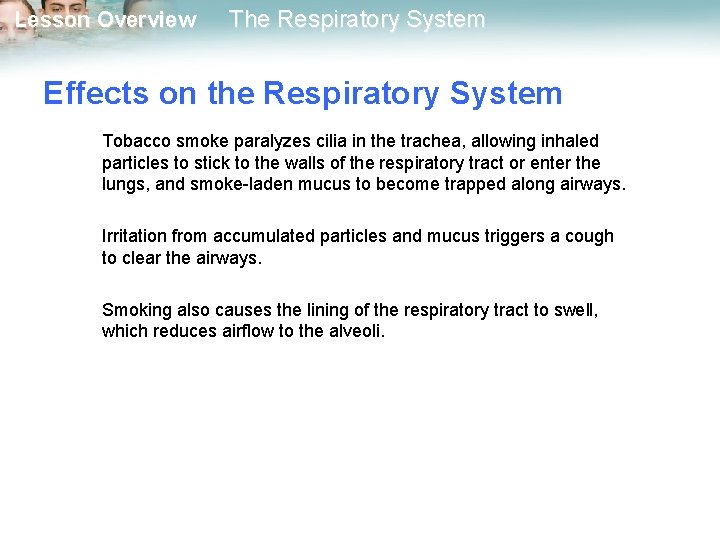 Lesson Overview The Respiratory System Effects on the Respiratory System Tobacco smoke paralyzes cilia