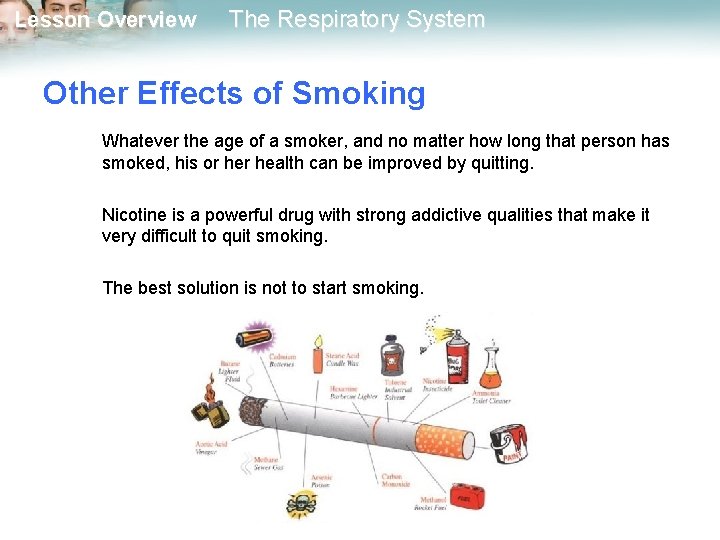 Lesson Overview The Respiratory System Other Effects of Smoking Whatever the age of a