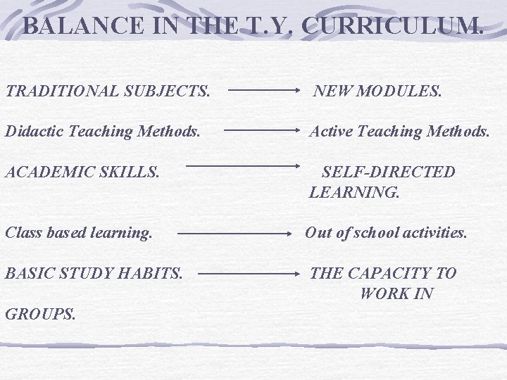 BALANCE IN THE T. Y. CURRICULUM. TRADITIONAL SUBJECTS. NEW MODULES. Didactic Teaching Methods. Active