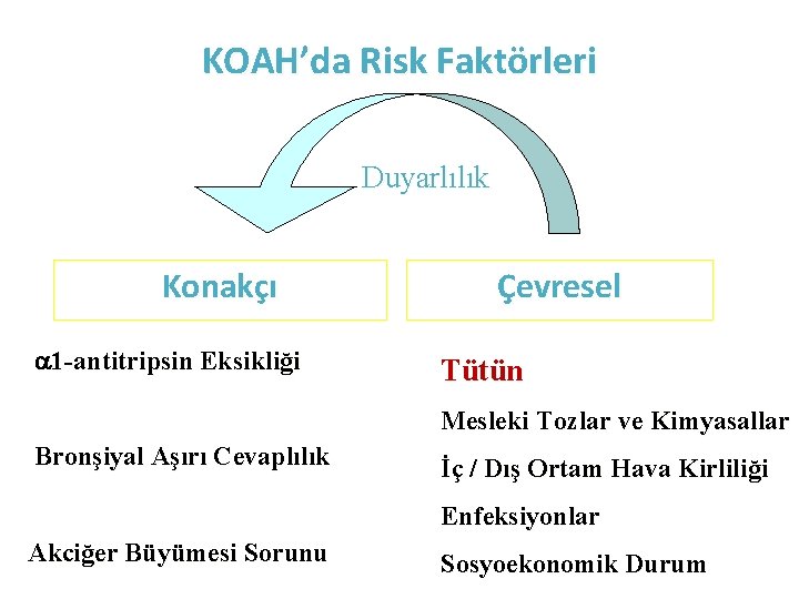 KOAH’da Risk Faktörleri Duyarlılık Konakçı a 1 -antitripsin Eksikliği Çevresel Tütün Mesleki Tozlar ve KOAH’da Risk Faktörleri Duyarlılık Konakçı a 1 -antitripsin Eksikliği Çevresel Tütün Mesleki Tozlar ve